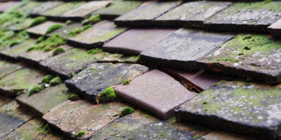 Thorney Toll roof repair costs